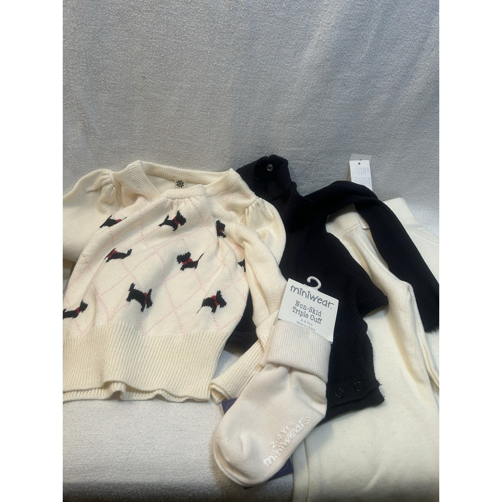Girls Size 2 Toddler Complete Outfit Sweater Turtleneck Pants and Socks NWT